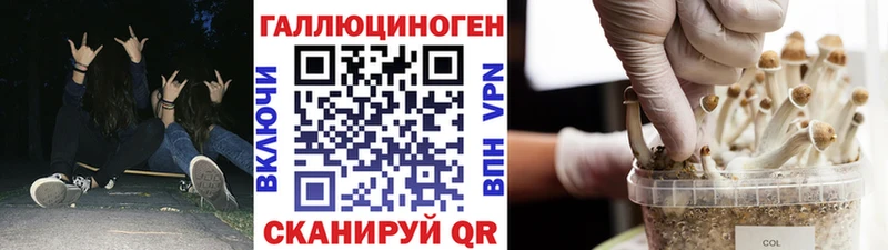 Псилоцибиновые грибы прущие грибы  Купить закладки  Светлый 